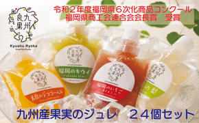 九州産 果実のジュレ 4種類 各6個 果汁分30％以上