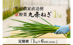 【6か月定期便】生産農家直送 京野菜・九条ねぎ1kg〈定期便 ねぎ ネギ 葱 九条ねぎ 京野菜 京都 新鮮 甘い 農家直送 野菜〉