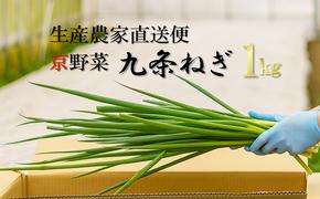 生産農家直送 京野菜・九条ねぎ1kg〈ねぎ ネギ 葱 九条ねぎ 京野菜 京都 新鮮 甘い 農家直送 野菜〉