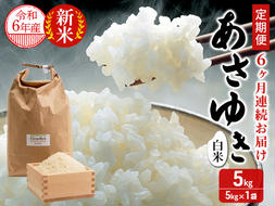 新米 定期便 6ヶ月 令和6年産 あさゆき 白米 5kg 1袋 米 精米 こめ お米 おこめ コメ ご飯 ごはん 令和6年 H.GREENWORK 6回 半年 お楽しみ 青森 青森県