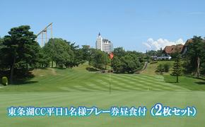 東条湖CC 平日 1名様 プレー券 昼食付 (2枚セット)[ ゴルフ 加東市 兵庫県 関西 ゴルフ場 ]