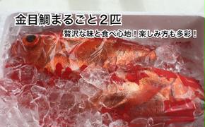 【四国一小さなまち】　≪土佐沖獲れ≫　高級魚『金目鯛』まるごと２匹（冷蔵）