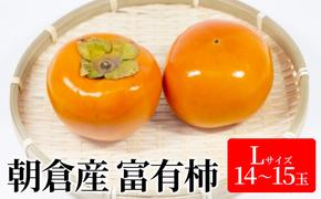 柿 富有柿 Lサイズ 14～15玉入 かき カキ 果物 くだもの フルーツ