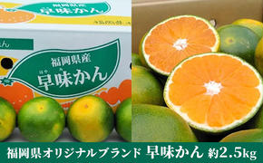 福岡限定 オリジナルブランド みかん「早味かん」約2kg【配送不可：離島】 果物類 柑橘類 フルーツ 