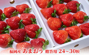 いちご あまおう 贈答用 24～30粒 福岡のいちご！苺 本来の酸味と甘み 配送不可 離島