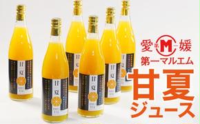 第一マルエムの甘夏ストレートジュース