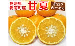 【訳あり】清家ばんかんビレッジの甘夏柑10kg