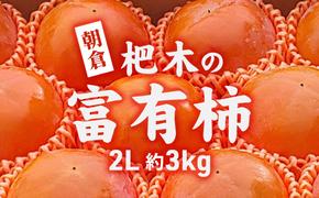 柿 かき 富有柿 3kg 2L サイズ 10～12個入り 朝倉 杷木の富有柿 カキ フルーツ 果物