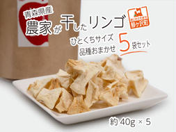 ドライフルーツ 青森 農家が干した りんご 40g×5種 計5袋 セット 風丸農場 無添加 品種おまかせ ひとくちサイズ ドライアップル 詰め合わせ 食べ比べ 干しリンゴ ドライ アップル スイーツ お菓子 菓子 おやつ フルーツ 果物 リンゴ 林檎 青森県