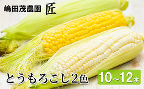 先行受付  北海道 仁木町産 新鮮 とうもろこし 2色セット【10～12本】 嶋田茂農園