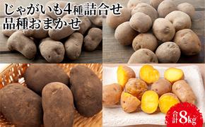 じゃがいも4種詰合せ（品種おまかせ合計8kg）【十勝幕別 北海道ホープランド農場】