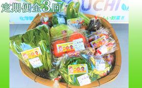 『定期便』【栽培期間中化学肥料・農薬不使用】季節野菜の詰め合わせ全3回