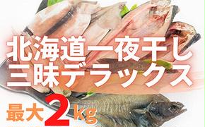 【緊急支援品】北海道一夜干し三昧デラックス 最大2kg 計10尾 訳あり 一夜干し 事業者支援 中国禁輸措置