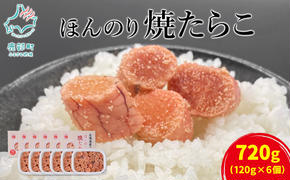 【丸鮮道場水産】北のハイグレード食品2021認定 北海道産 ほんのり焼たらこ 120g×6個（720g） たらこ タラコ