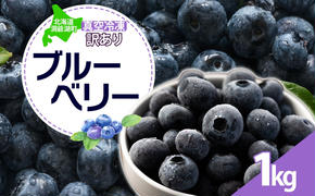 北海道 訳あり ブルーベリー 500g 2袋 計1kg 7月下旬より順次お届け 果物 果実 フルーツ 新鮮 国産 ベリー 農作物 お取り寄せ グルメ ギフト 冷凍 長期 保存 送料無料 とうやMarche マルシェ