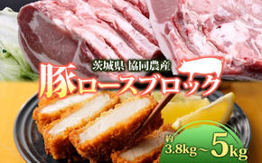 豚 ロース ブロック 2分割 約3.8kg ～ 5kg 肉 豚肉 ポーク 豚ロース 国産 ポークソテー ローストポーク しょうが焼き とんかつ ロースハム 角煮 真空パック 人気 お取り寄せ 茨城県 結城市