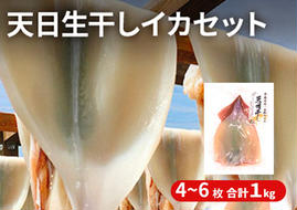 イカ 青森県産 一本釣りいか 使用 鰺ヶ沢 名物 天日生干しイカ セット （1Kg以上4枚～6枚入り） いか 干物 干物セット 国産 するめ スルメ スルメイカ 海鮮 魚介類 魚介 海産物 ※ ご入金確認後 3ヶ月以内の発送になります。