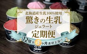 ＜3ヶ月定期便＞北海道産 生乳 ジェラート アイス 毎月12個  詰め合わせ ジェラートセット