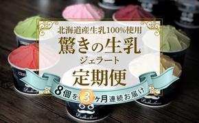 ＜3ヶ月定期便＞北海道産 生乳 ジェラート アイス 毎月8個  詰め合わせ ジェラートセット