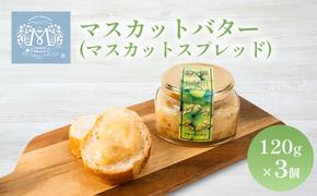 マスカット バター （ マスカット スプレッド ）120g×3個 乳製品 果物 ぶどう フルーツ