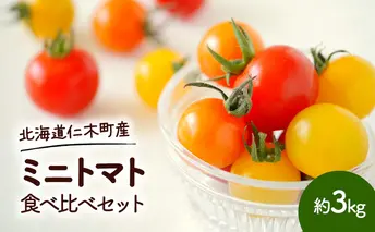 藤田農園のミニトマト食べ比べセット約3kg☆農園からのおすそ分け野菜付☆