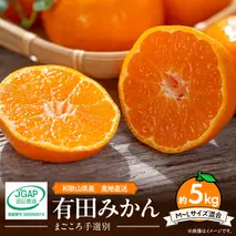 ZE6055n_【2025年先行予約】【まごころ手選別】和歌山県産 有田みかん 5kg M～Lサイズ混合