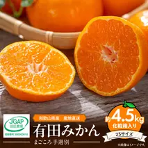 ZE6057n_【2025年先行予約】有田みかん 化粧箱 約4.5kg 2Sサイズ【まごころ手選別】