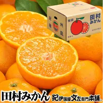 V7450_田村みかん／5kg青秀／サイズ指定なし