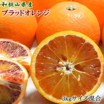 ZD6215_【希少・高級柑橘】国産 濃厚 ブラッドオレンジ 「タロッコ種」3kg