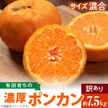 AB6010n_（先行予約）（極甘柑橘）有田育ちの 濃厚 ポンカン （訳あり 家庭用）7.5kg (サイズ混合)