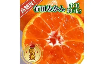 BD6035n_【２０２５年先行予約】高糖度 有田みかん 特秀品 5kg 小玉 (S～Mサイズおまかせ)
