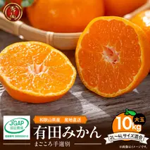 ZE6333n_【2025年先行予約】和歌山有田みかん10kg　2L～4Lサイズ混合 