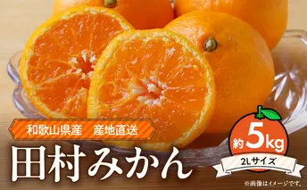ZE6345_【先行予約】和歌山 湯浅町産 田村みかん 5kg【大玉】