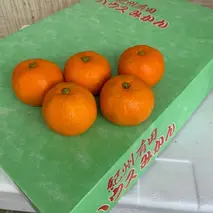 BF6032n_【2025年先行予約】 ハウスみかん 化粧箱 約2.5kg 【ミカン 蜜柑 柑橘 温州みかん 有田みかん 贈答 ギフト 和歌山】