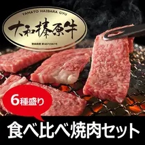 【年内配送 12/24まで受付】(冷凍)　大和榛原牛　焼肉　6種盛り／うし源本店 黒毛和牛 A5 キャンプ ロース カルビ モモ ミスジ ウデ イチボ 父の日 奈良県 宇陀市 お中元 贈答用 贈り物 暑中見舞い お土産 お土産 歳暮 内祝いまとめ買い 美味しい部位 キャンプ 送料無料 食べ比べ セット 盛り合わせ 正月 