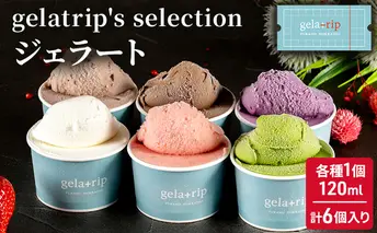 gelatrip's selection ジェラート6個BOX