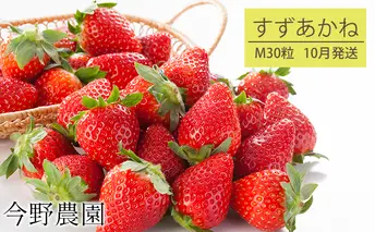 【10月発送】今野農園いちご「すずあかね」(M30粒)北海道仁木町産