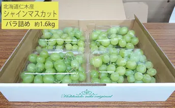  北海道 仁木町産 シャインマスカット バラ詰め 約1.6kg   松山商店