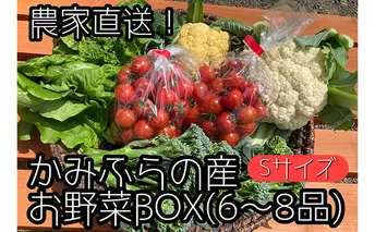 【2022年8月から発送】農家直送！ミニトマト500g入り！朝採れ野菜詰め合わせボックスS（6～8品入り）