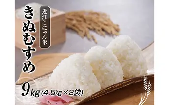 近江こにゃん米「きぬむすめ」9kg（4.5kg×2）