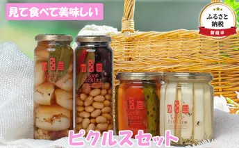 田中青果　見て食べて美味しい　ピクルスセット（1）