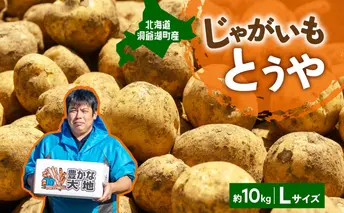 北海道産 青野農園 じゃがいも とうや Lサイズ 約10kg 北海道 ジャガイモ トウヤ 馬鈴薯 ばれいしょ ポテト 芋 いも イモ 黄色 旬 野菜 農作物 産地直送 お取り寄せ 送料無料