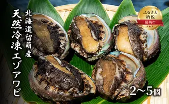 あわび 北海道 天然 蝦夷アワビ 2～5個 産地直送 冷凍 魚貝 貝 殻付 海鮮 海産物 海の幸 魚介 魚介類 刺身 刺し身 お刺身 ステーキ バーベキュー BBQ アワビ 鮑 エゾアワビ 留萌産 留萌 留萌市 