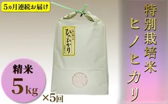 【定期便】 特別栽培米　精米　ヒノヒカリ　5kg×5回　