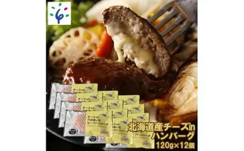 17-004 北海道産チーズinハンバーグ[120g×12個入]