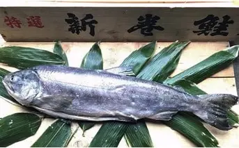 20-002 新巻鮭 4kg