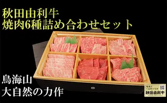 秋田由利牛 焼肉6種詰め合わせセット