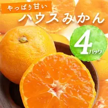 BF6053_2025年先行予約】 ハウスみかん 4パック 【ミカン 蜜柑 柑橘 温州みかん 有田みかん 和歌山】