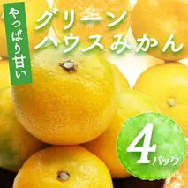 BF6055_【2025年先行予約】 グリーンハウスみかん 4パック 【ミカン 蜜柑 柑橘 温州みかん 有田みかん ハウスミカン 和歌山】