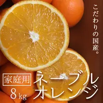 ZT6216_【先行予約】こだわりの国産ネーブルオレンジ【訳あり 家庭用】8kg